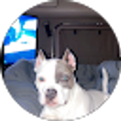 Profile photo of Cody Carlson