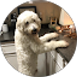 Profile photo of blakely