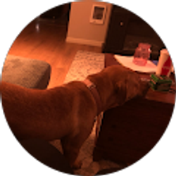 Profile photo of Shannon Wilkinson