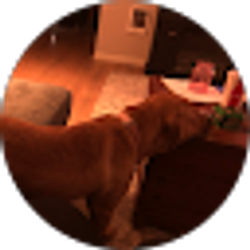 Profile photo of Shannon Wilkinson