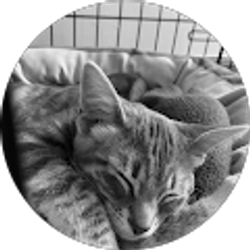 Profile photo of Leslie Hamrick-Naternicola