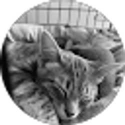 Profile photo of Leslie Hamrick-Naternicola