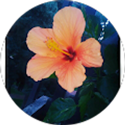 Profile photo of Cat Christensen