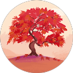 Profile photo of merari castillo