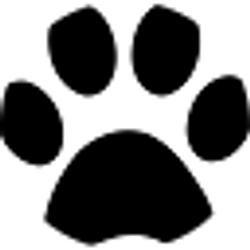 Profile photo of Owen Davis