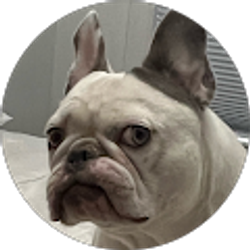 Profile photo of Icey