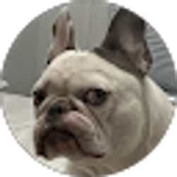 Profile photo of Icey