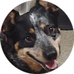 Profile photo of Heather Cobel