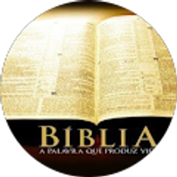 Profile photo of Pedro Marín