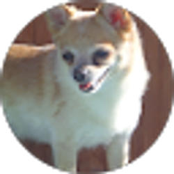 Profile photo of McKenna Grace Fisher