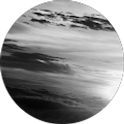 Profile photo of Ryan Berns