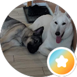 Profile photo of Bethany W