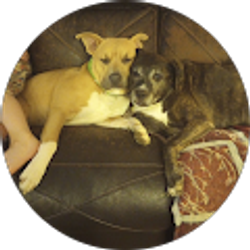 Profile photo of Kayla Rose Graham-Swigert