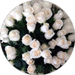 Profile photo of Cindy Sun