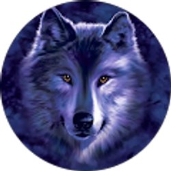 Profile photo of Debbie Zornes