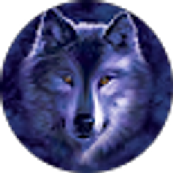 Profile photo of Debbie Zornes