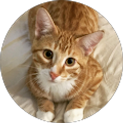 Profile photo of Heather Song