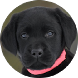 Profile photo of Jen Sjoquist