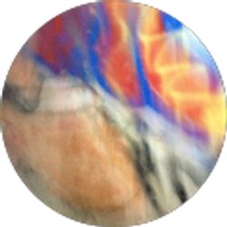 Profile photo of Carnival-of-Souls Shane