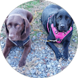 Profile photo of Timothy Olmstead