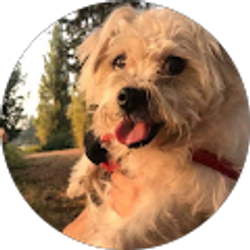 Profile photo of Jasmine Aguirre