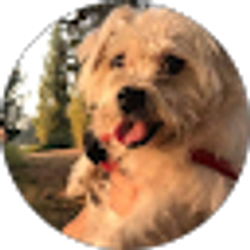 Profile photo of Jasmine Aguirre