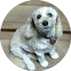 Profile photo of Ana Jordan