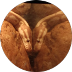 Profile photo of Kevin Foley