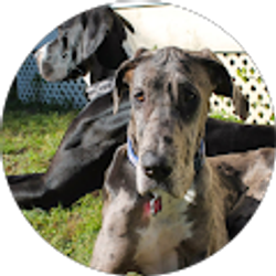 Profile photo of Marie Smith