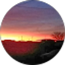 Profile photo of Heather Domenico