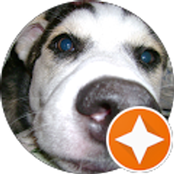 Profile photo of Dana Floro