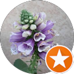 Profile photo of Ms MB