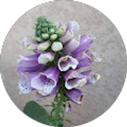 Profile photo of Ms MB