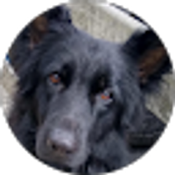 Profile photo of Shawna Breault