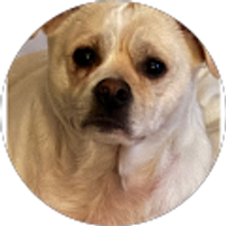 Profile photo of Patsy Wilder