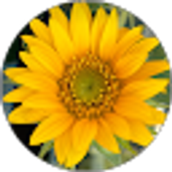 Profile photo of Lisa Milecki