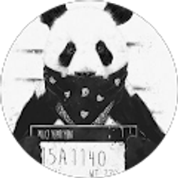 Profile photo of Darlin Cruz