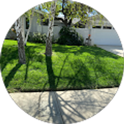 Profile photo of Susan Kline