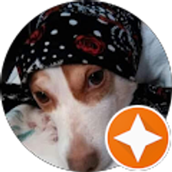 Profile photo of Tania Andino