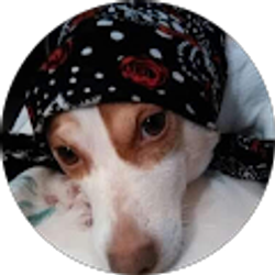Profile photo of Tania Andino