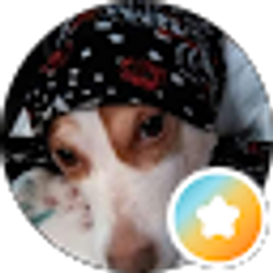 Profile photo of Tania Andino