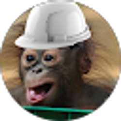 Profile photo of Nox H