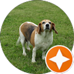 Profile photo of Keith Burns