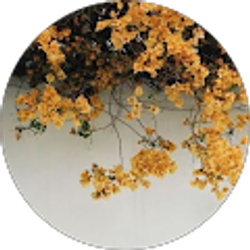 Profile photo of Anelys Izquierdo