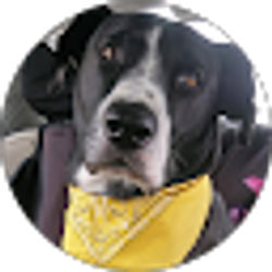 Profile photo of Nicholas Swickard