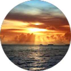 Profile photo of Debra D'Auria