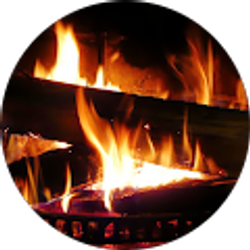 Profile photo of Tony From Syracuse