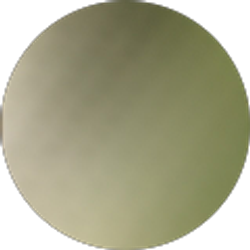 Profile photo of Brenda L