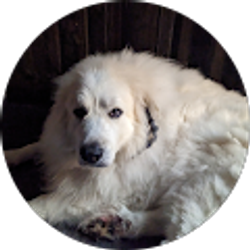 Profile photo of Christina Hawkins