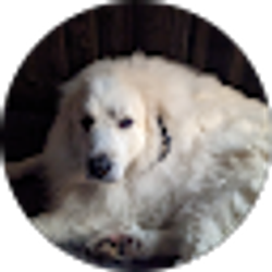 Profile photo of Christina Hawkins